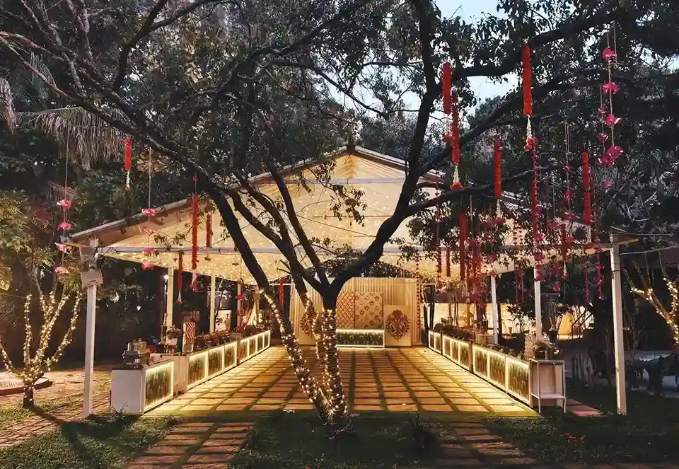 Golden Hour Gradient