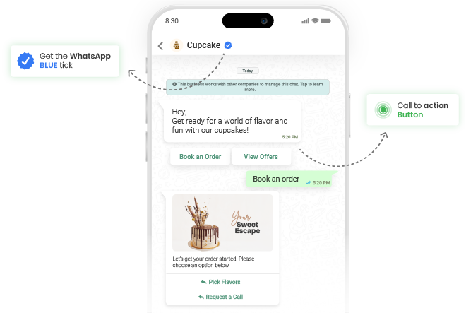 Whatsapp Landing Page